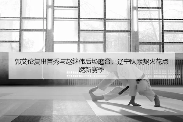 郭艾伦复出首秀与赵继伟后场磨合，辽宁队默契火花点燃新赛季